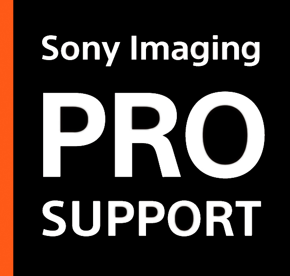PRO SUPPORT